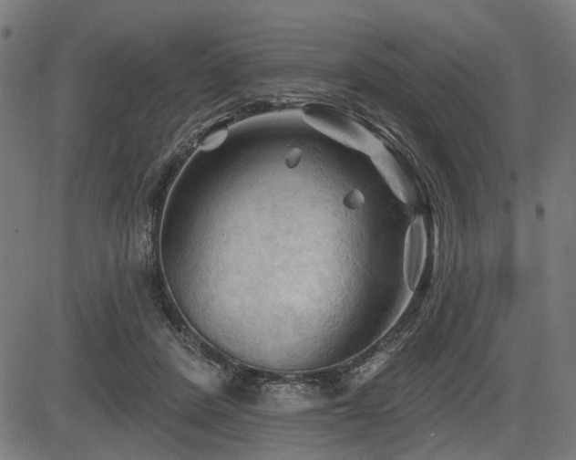 X0000083610408200702121120