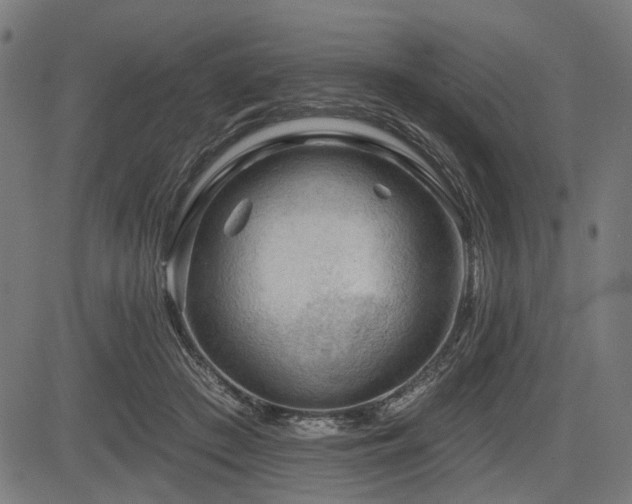 X0000083610409200702121120