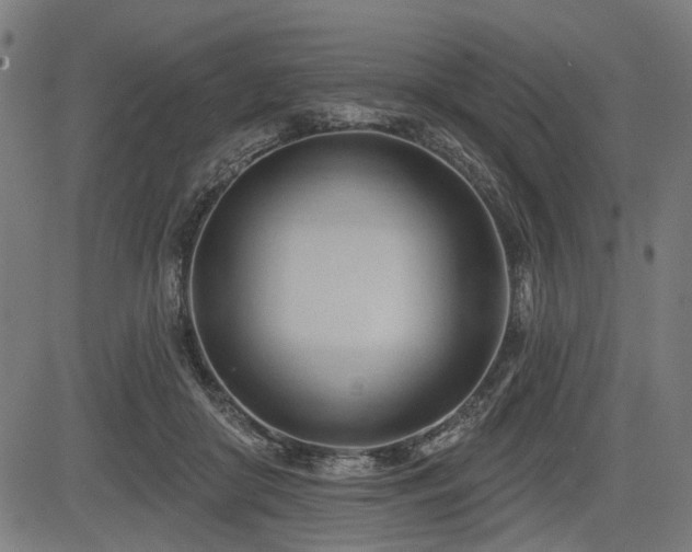 X0000083610410200702121120