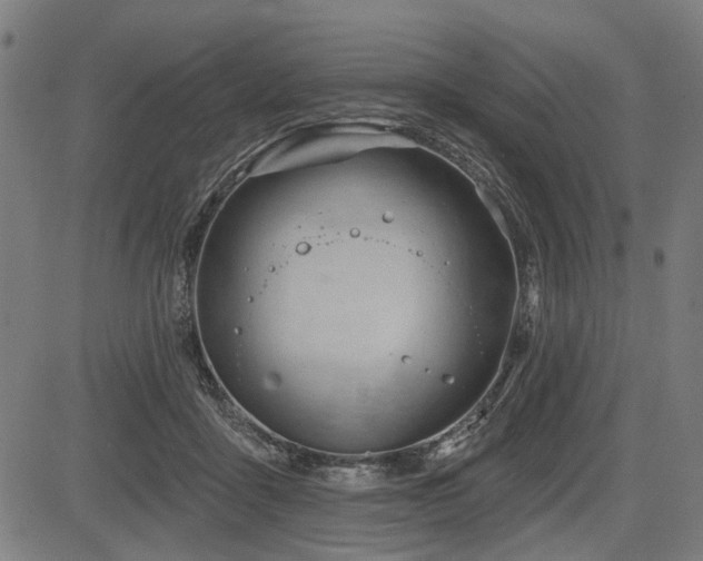 X0000083610411200702121120