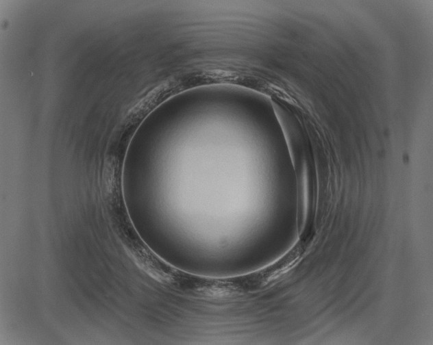 X0000083610412200702121120