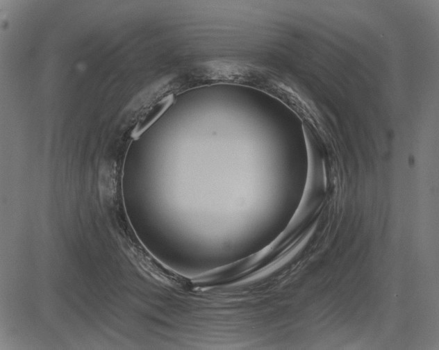 X0000083610413200702121120