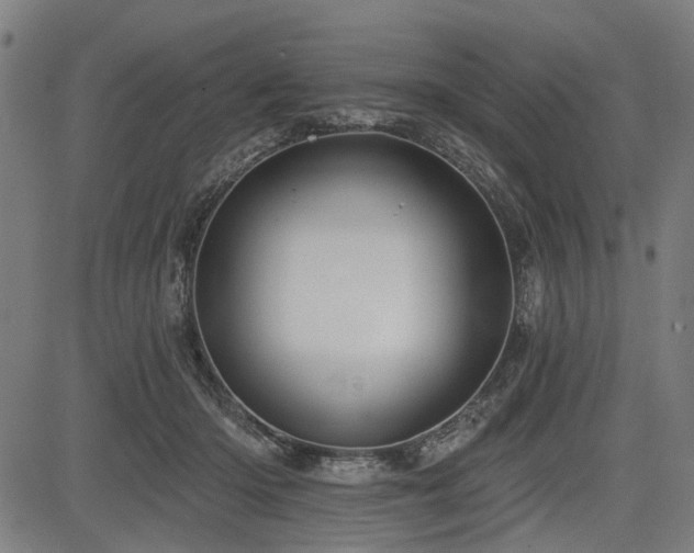 X0000083610414200702121120