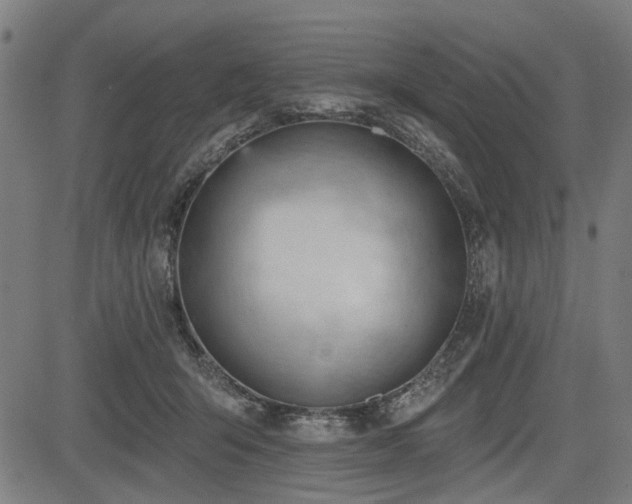 X0000083610415200702121120