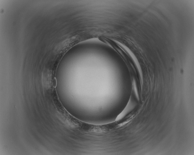 X0000083610416200702121120