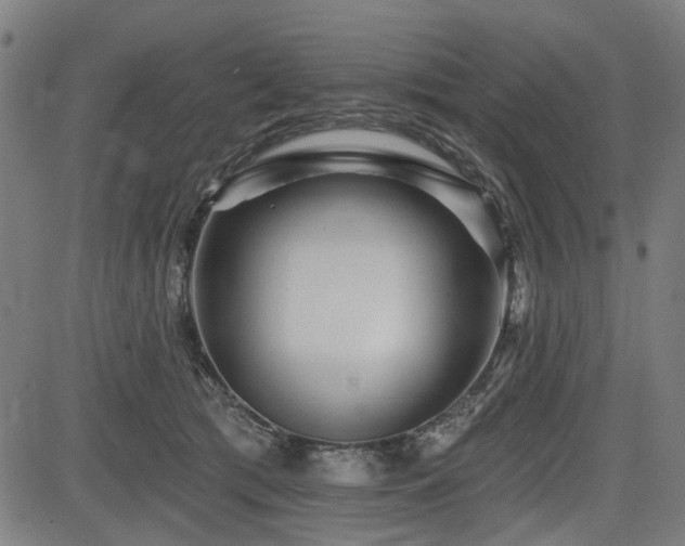 X0000083610417200702121120