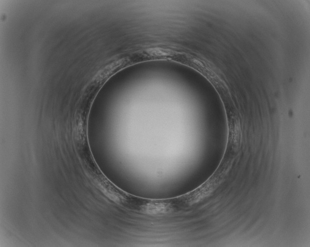 X0000083610418200702121120