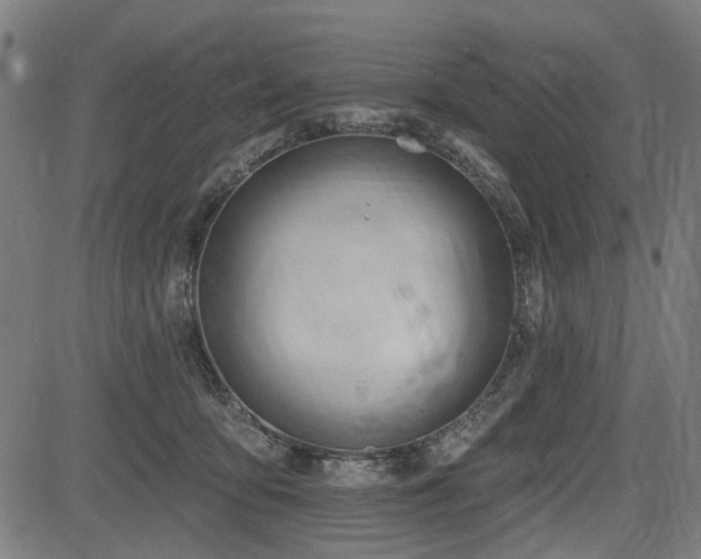 X0000083610419200702121120