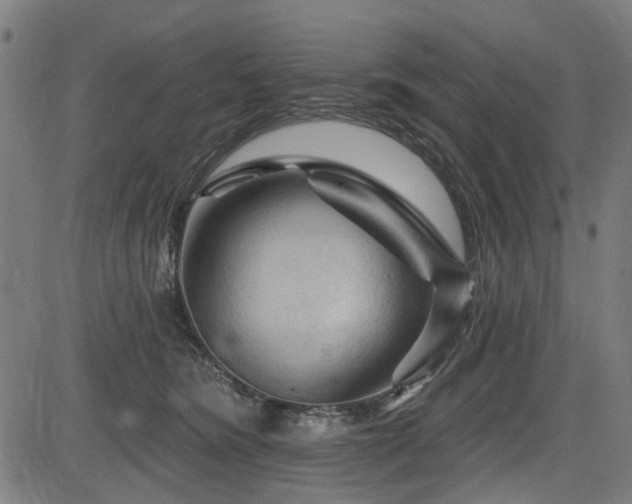 X0000083610420200702121120