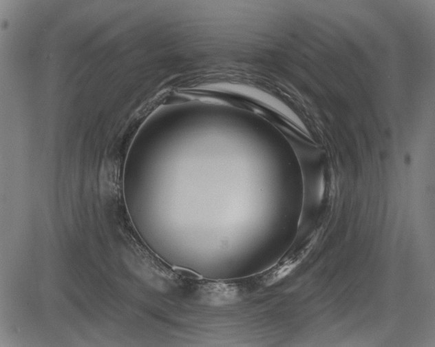 X0000083610421200702121120