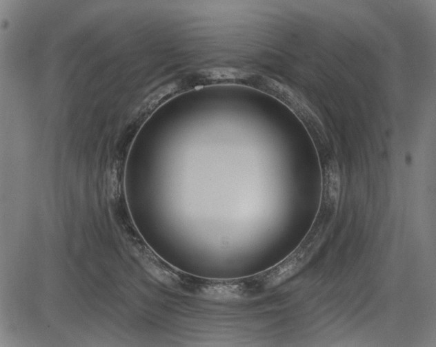 X0000083610422200702121120