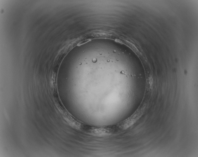 X0000083610423200702121120