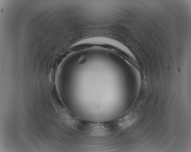 X0000083610424200702121120