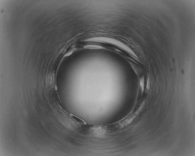 X0000083610425200702121120