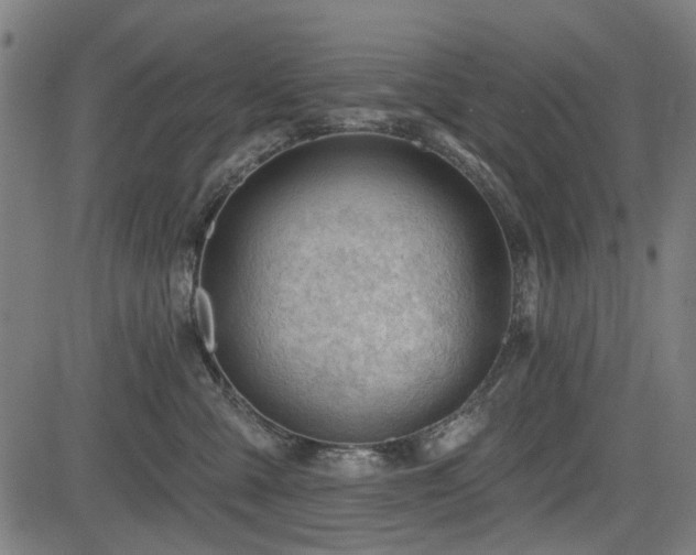 X0000083610427200702121120