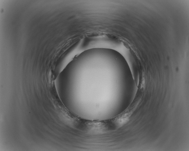 X0000083610428200702121120