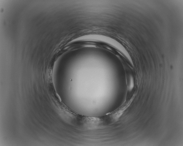 X0000083610429200702121120