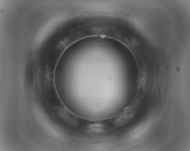 X0000083610430200702121120