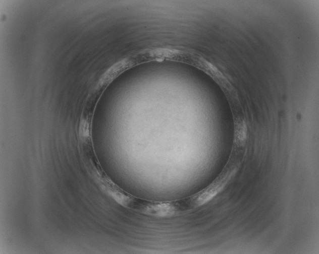 X0000083610431200702121120