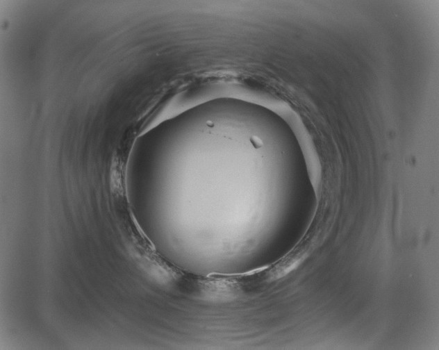 X0000083610432200702121120