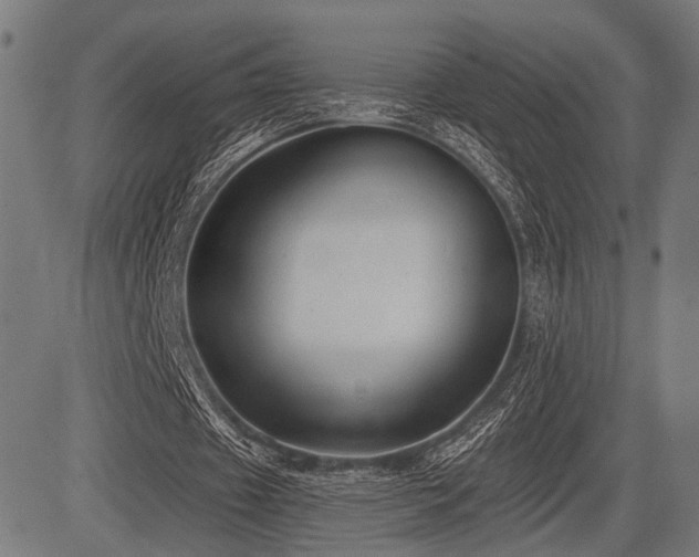 X0000083610433200702121119