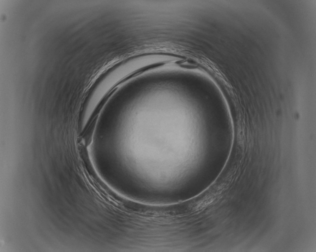 X0000083610434200702121119