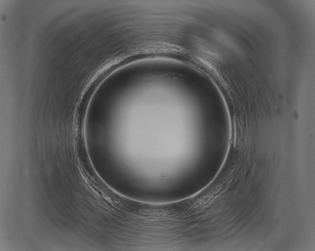 X0000083610435200702121119