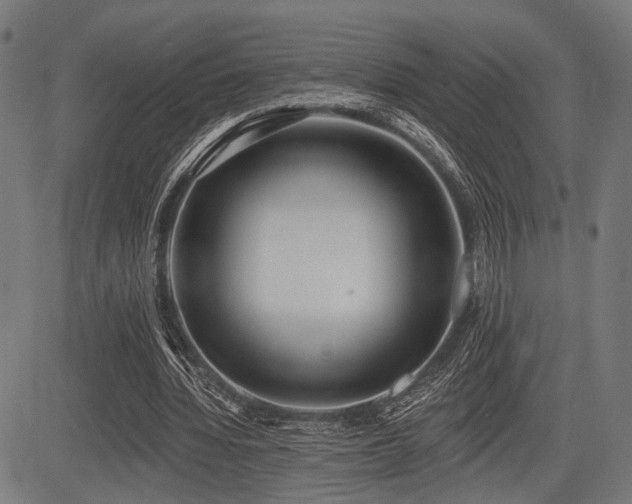 X0000083610436200702121119