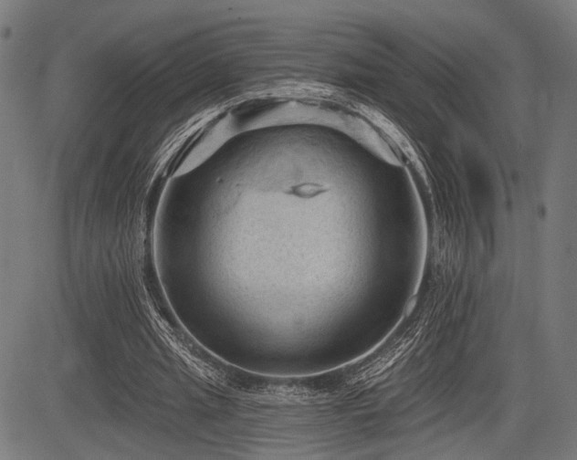 X0000083610437200702121119