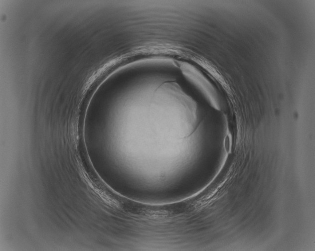 X0000083610438200702121119