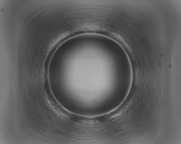 X0000083610439200702121119