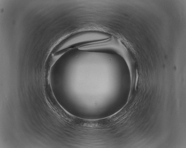 X0000083610440200702121119