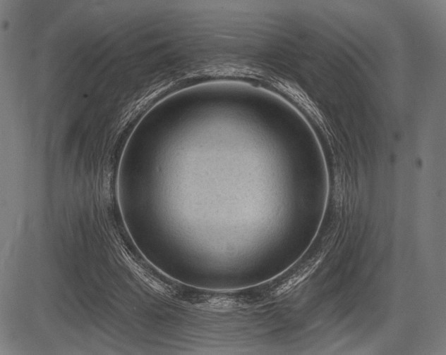 X0000083610441200702121119