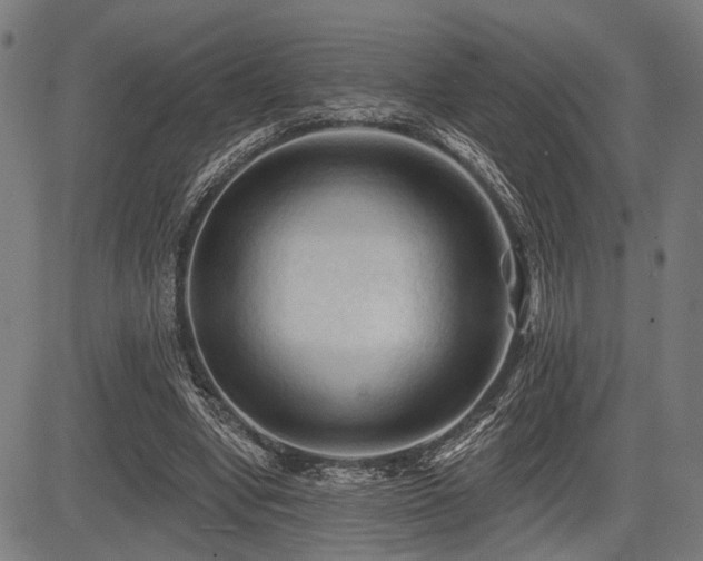 X0000083610442200702121119