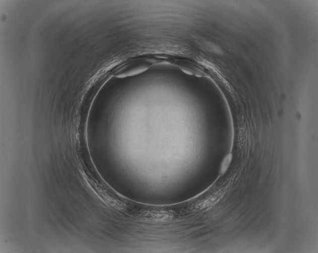 X0000083610443200702121119