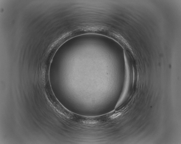 X0000083610444200702121119