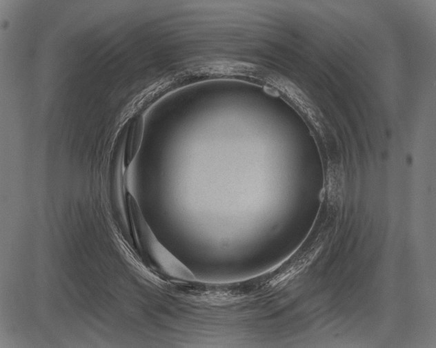 X0000083610445200702121119