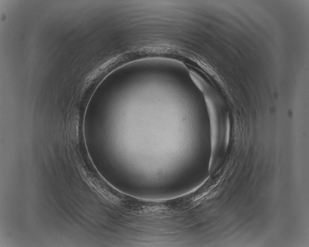 X0000083610446200702121119