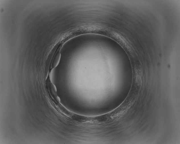 X0000083610447200702121119