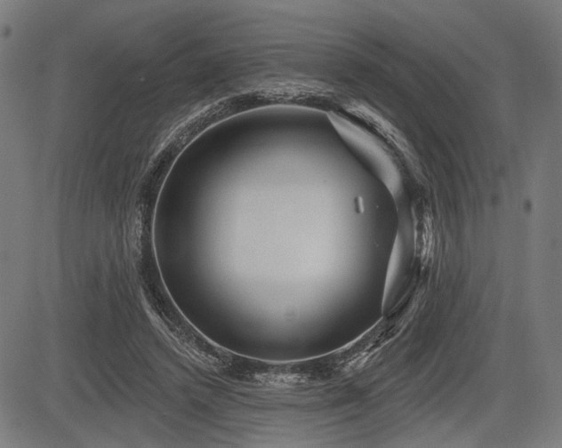 X0000083610448200702121119