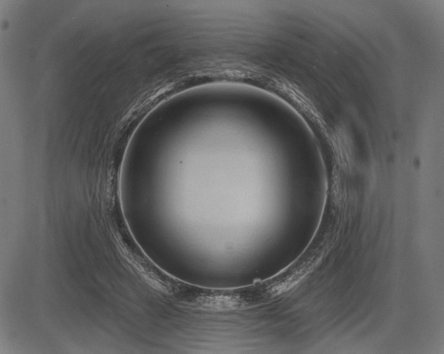 X0000083610449200702121119