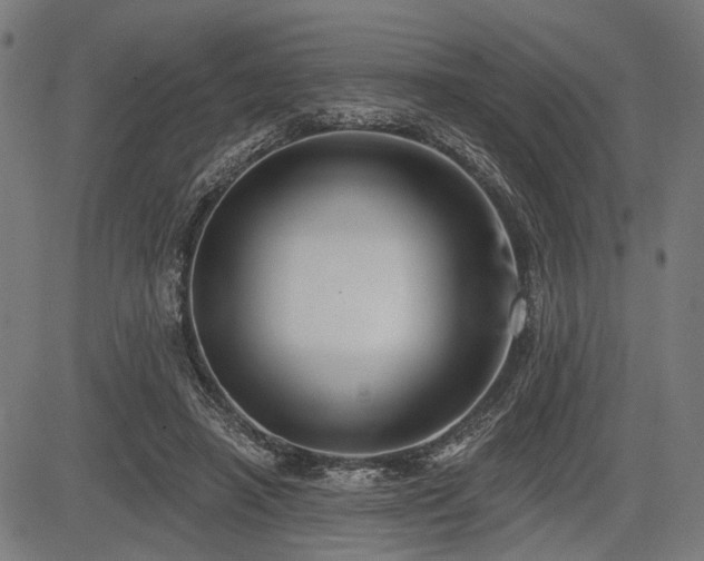 X0000083610450200702121119