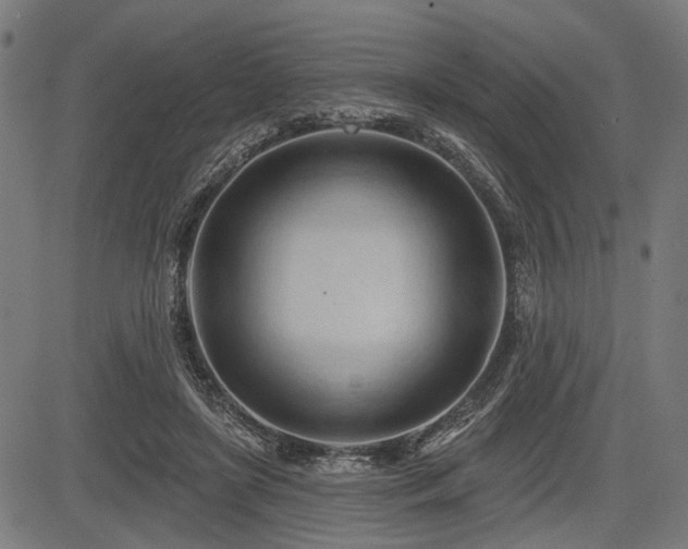 X0000083610451200702121119