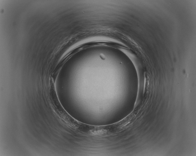 X0000083610452200702121119