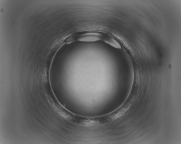 X0000083610453200702121119