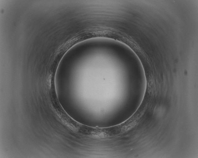 X0000083610454200702121119