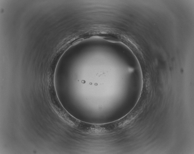 X0000083610455200702121119