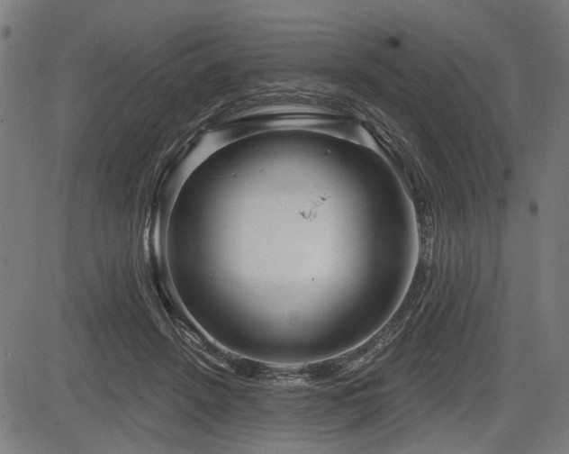 X0000083610456200702121119