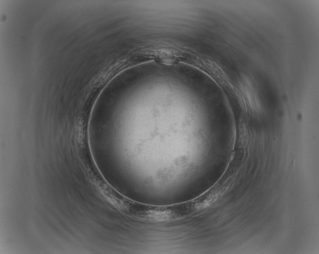 X0000083610457200702121119