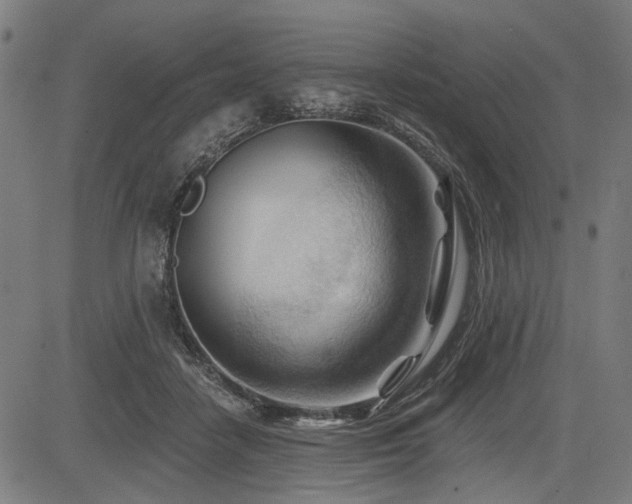 X0000083610458200702121119